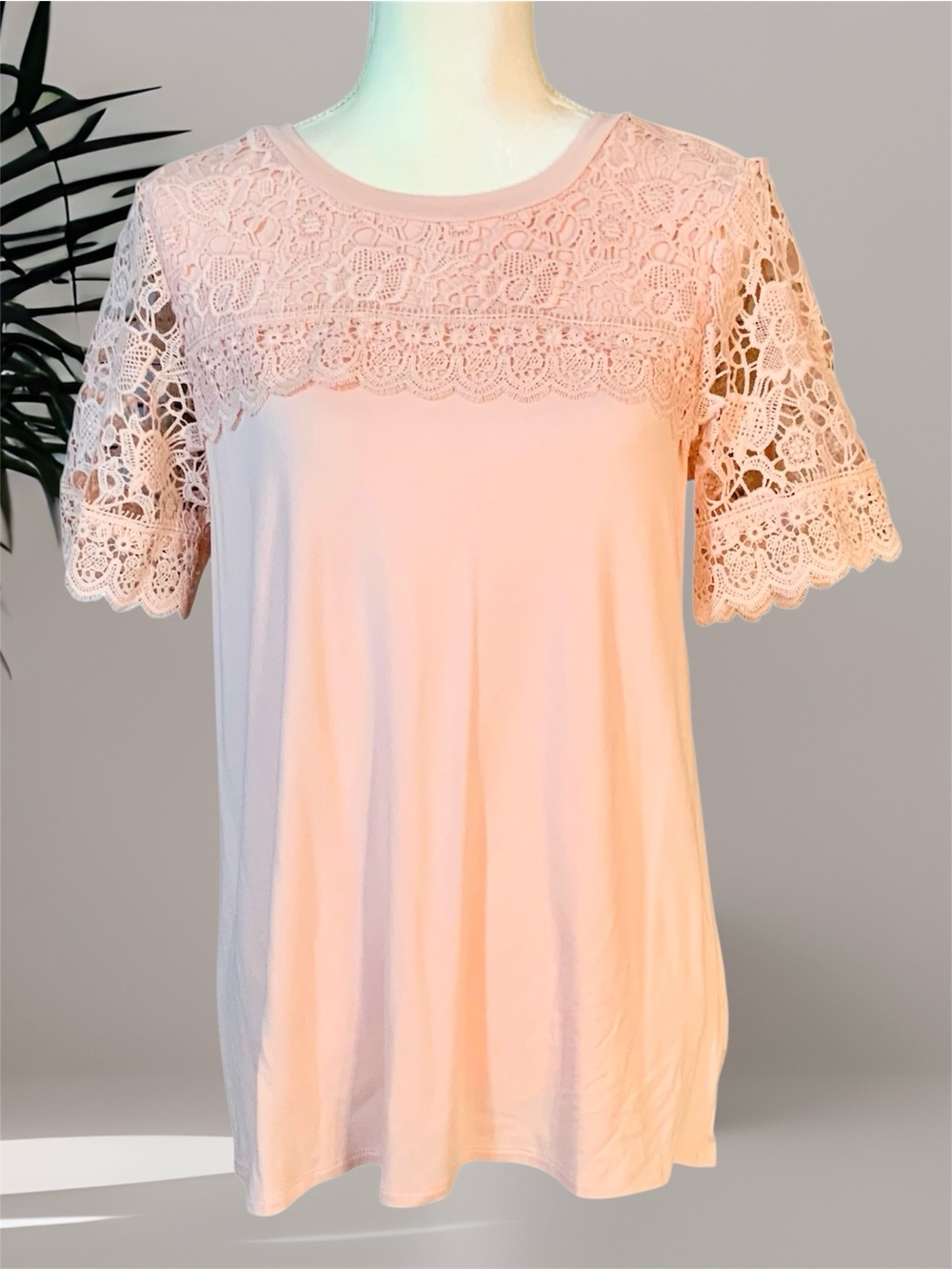 Adrianna Papell Blush Pink Lace Yoke/Sleeve Short Sleeve Tee